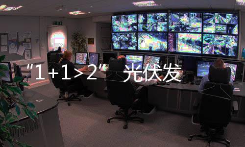 “1+1>2” 光伏发电与多元素经济结合发展
