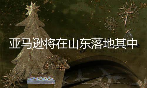 亚马逊将在山东落地其中国首个可再生能源项目