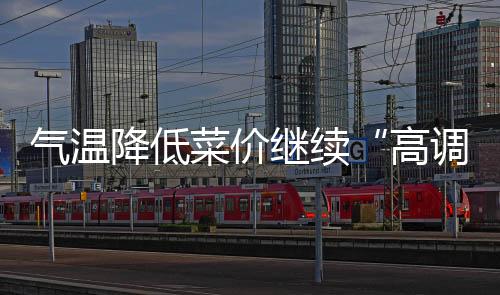 气温降低菜价继续“高调” 龙岗供应有保障