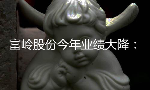 富岭股份今年业绩大降：存货与应收账款偏高，偿债能力弱于同行