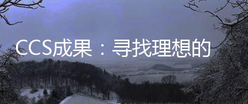 CCS成果：寻找理想的CO2地下储存位置